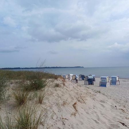 Meeresstrand - Chic & Renoviert! ブレーゲ エクステリア 写真